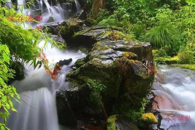熊出没水果大陆2
